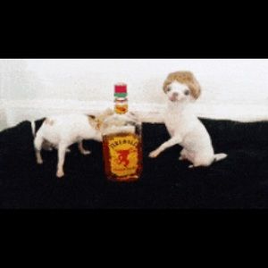 Meet your Posher, Vinette